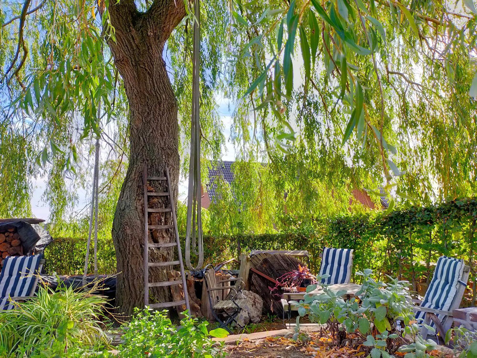 Aan De Molenberg Bed & Breakfast Broekhuizen  ภายนอก รูปภาพ