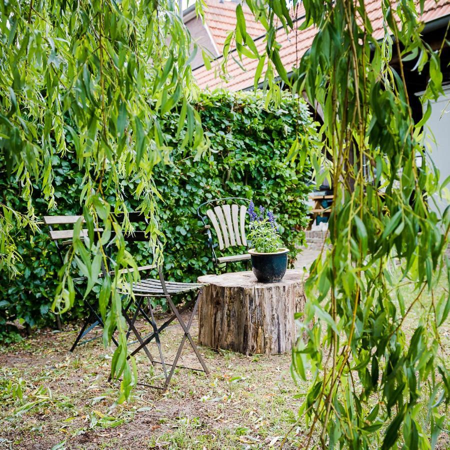 Aan De Molenberg Bed & Breakfast Broekhuizen  ภายนอก รูปภาพ