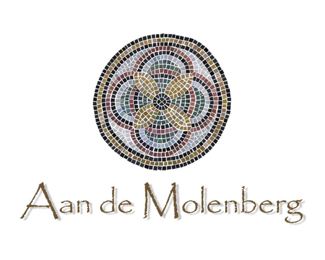 Aan De Molenberg Bed & Breakfast Broekhuizen  ภายนอก รูปภาพ